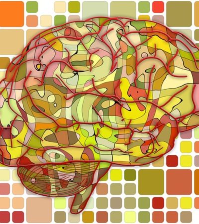 La cohérence du symptôme : Un concept pas si poussiéreux que cela