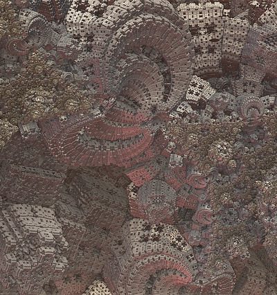 Les différents types de comportements