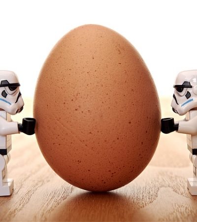 Le Behaviorisme radical