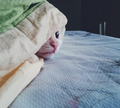 Exercice ACT Thérapie d’Acceptation et d’Engagement | Espace de Sécurité