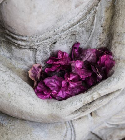 Construire son image de compassion idéale