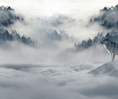 Les deux loups : métaphore en mouvement