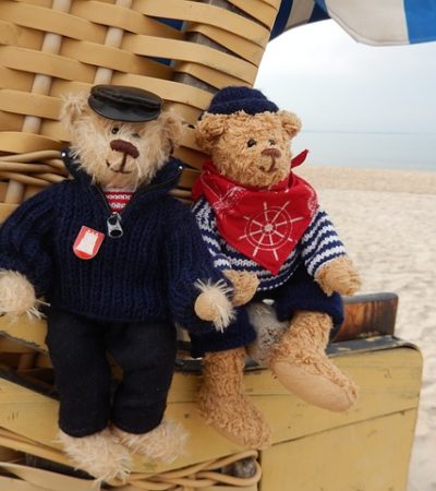 Bear on the beach & teddy fear