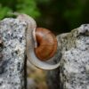 Changer ? Pas si simple … Les 5 (+3) obstacles au changement