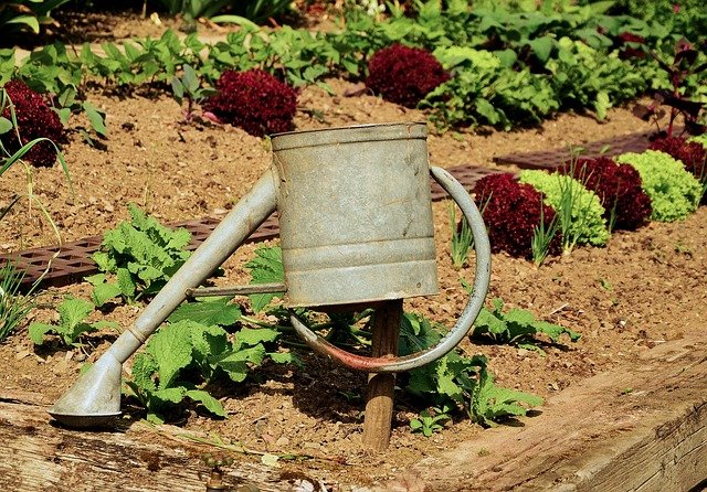 Métaphore du jardinier