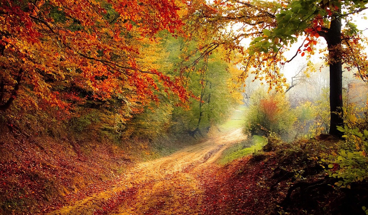 La nature comme soignant